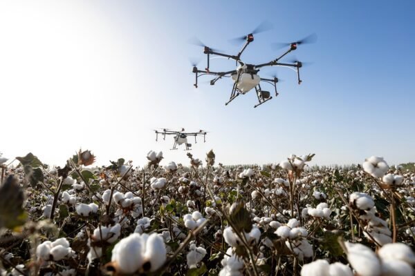 Moda de luxo contrata "head of nature": o cargo que a Kering já tem e outras grifes cobiçam